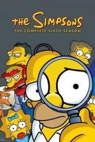 I Simpson: Stagione 6