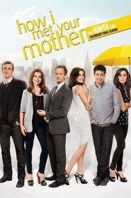 How I Met Your Mother: Stagione 9