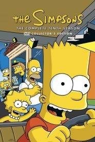 I Simpson: Stagione 10