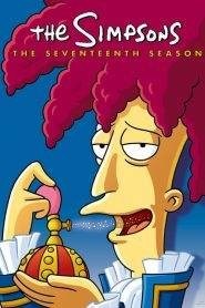 I Simpson: Stagione 17