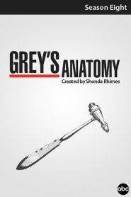 Grey’s Anatomy: Stagione 8
