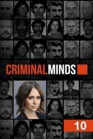 Criminal Minds: Stagione 10