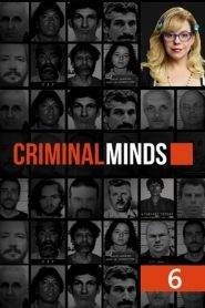 Criminal Minds: Stagione 6