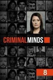Criminal Minds: Stagione 8