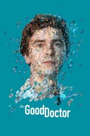 The Good Doctor: Stagione 7